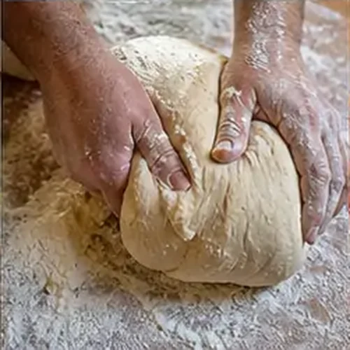 وێنەی تورشی ماڵەوەی عێراقی